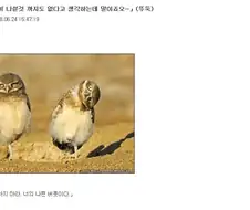 소년 만화 클리셰 모음집.jpg