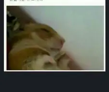 오싹오싹 잘자가스.jpg