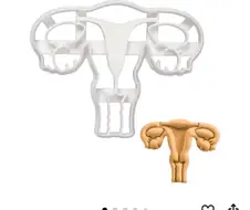 자궁쿠키 파티다!