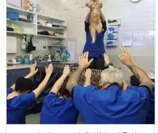 신이된 고양이