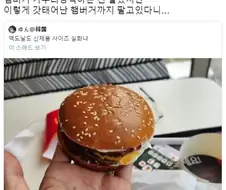 갓 태어난 햄버거까지 파는 맥도날드