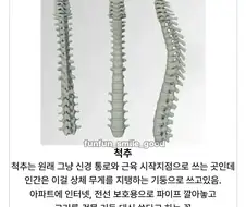 인간이 잘못된 용도로 쓰고 있는 것.jpg