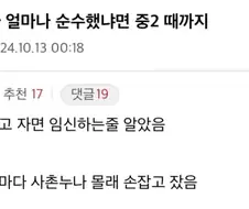 순수한 디시인