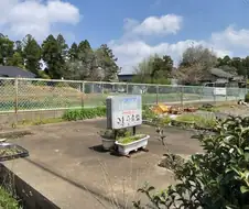 일본, 한적한 시골 식당의 550엔짜리 돈가스 덮밥