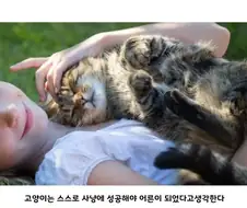 집고양이는 스스로를 아기고양이라고 생각한다