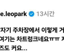 주차장에서 발견한 거북.jpg