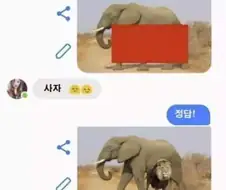 이 동물이 뭔지 맞추면 넌 내 여친이 되는거야.jpg