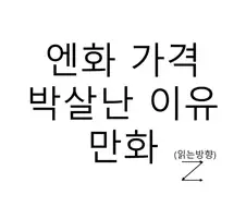 엔화 가격이 박살난 이유 만화 .jpg