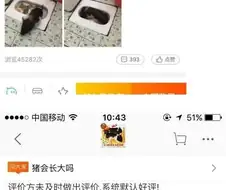 타오바오 애완돼지 후기들