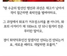 조선의 주력함 판옥선이 만들어진 이유