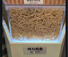 기생충 박물관 후기