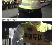 랜턴 빛에 다쳤다는 북항 상어, 부산식 결말