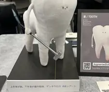 상반신이 치아, 하반신이 치아인 괴물...