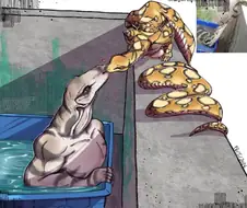 도마뱀이랑 뱀이 키스하는 짤