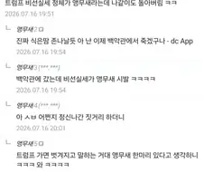그런데 앵무새론 실제로 마주하면 개쫄릴듯
