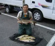 타짜 고니의 원형이 된 실제인물이 대단한 이유.jpg