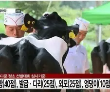 유방(40점), 다리(25점), 외모(25점), 엉덩이(10점)