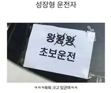 성장형 운전자
