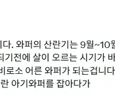 지금 버거킹 버거 맛이 없을수밖에 없음
