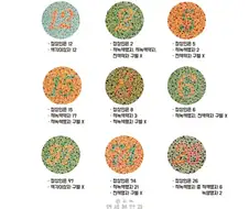 색맹·색약 검사