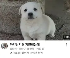 ㅁㅇ탐지견 지원.jpg