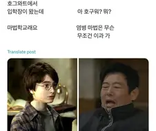 해리포터의 이모부가 성동일이었다면