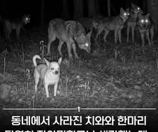 이길 수 없다면 합류하라.jpg