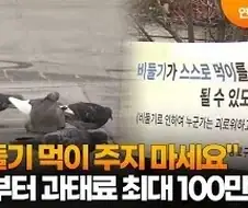 분명히 비둘기한테 먹이를 주는데 처벌을 안받는