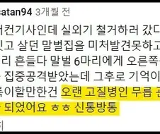 말벌침 맞고 죽는거 아냐?