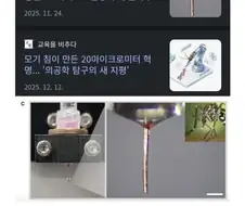 왠지 바이오하자드 모기 ver. 오프닝이 될거같은 짤.jpg