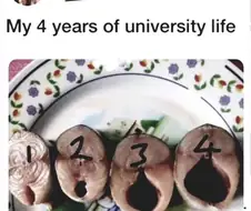 4년간의 대학 나의 생활