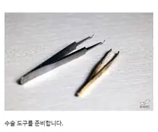 국내에서 페페론치노 키우는 방법
