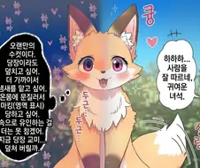 사람을 좋아하는 여우짤