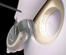 쾌락을 높이는법