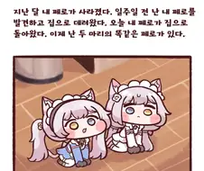 (라오진)수상할정도로 페로를 아끼는 담당 짤공장
