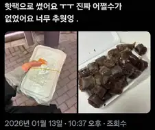 의외로 정말 안타까운 선택