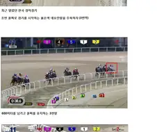 만화로 알아보는 도박의 세계