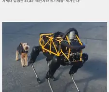 물러나십시오 유기체