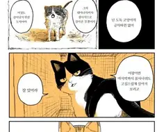 길냥이 청산하는.manhwa