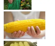 의외로 이 냄새 좋아하는 사람들 많음