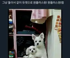 외국인과 사장님의 숨막히는 대치