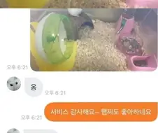 너무너무 귀여운 초등학생과의 당근거래