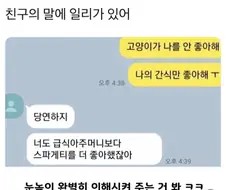 고양이가 나를 안 좋아해...