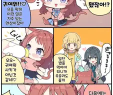 [@] 아기 냥이 사키