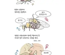 암컷에게 삽입당하는 수컷 만화.manwha