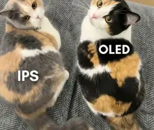 OLED와 IPS 패널의 차이
