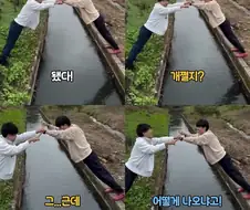 이론과 현실은 다르다는 걸 깨달은 친구들