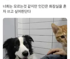 주인님 똥싼당
