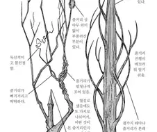 장편 만화의 좋은 예와 나쁜 예
