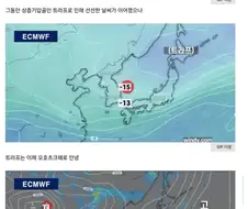 ㅌㄹㅍ 떠나자 난리난 한국